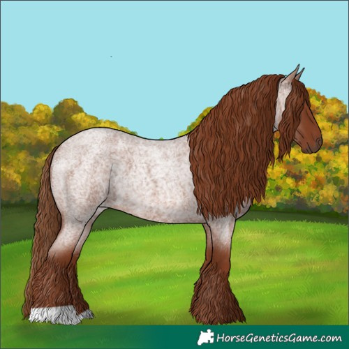 Horse Color:Red Roan