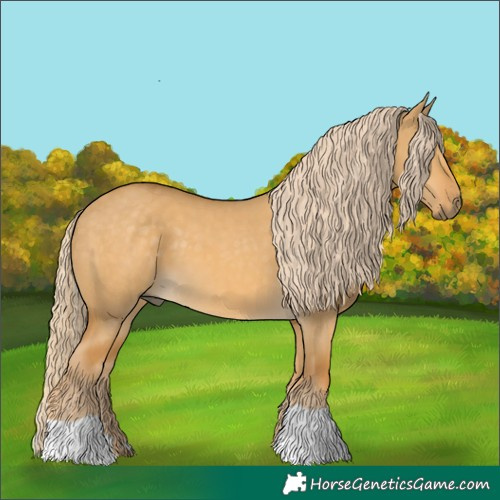 Horse Color:Palomino Dun 