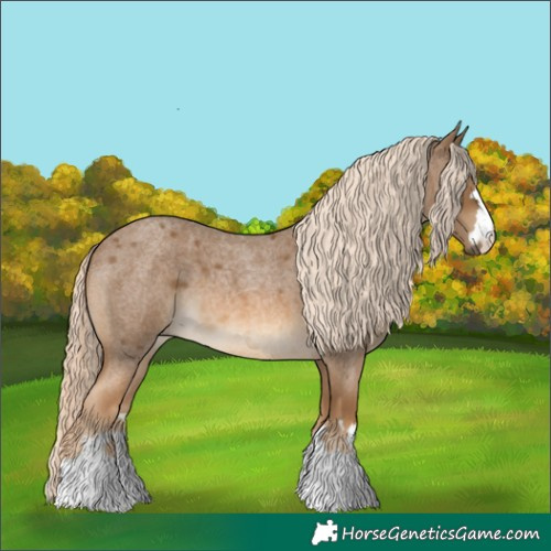 Horse Color:Chocolate Palomino Roan