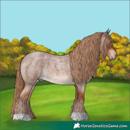 Horse Color:Red Roan 