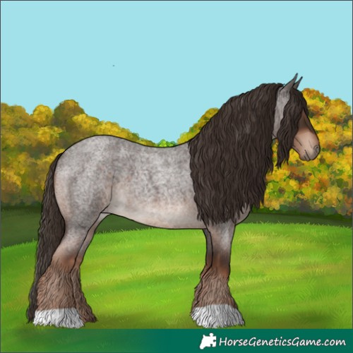 Horse Color:Liver Red Roan 