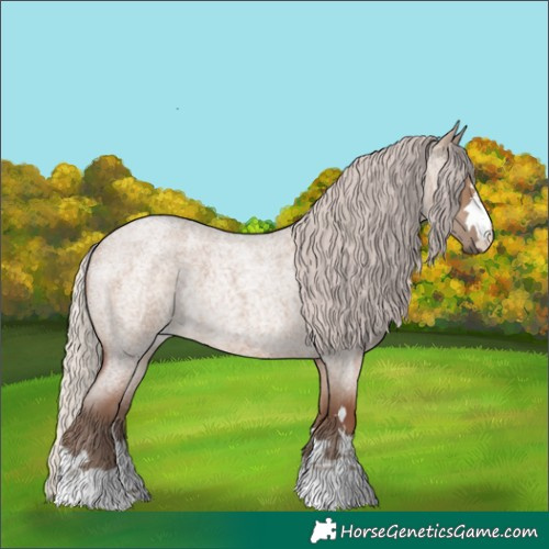 Horse Color:Silver Grullo Roan