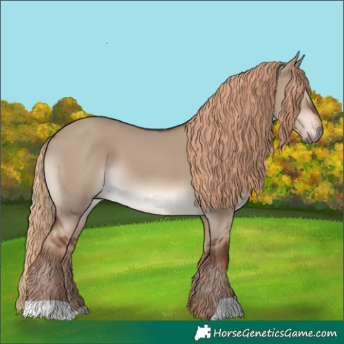 Horse Color:Liver Red Dun 