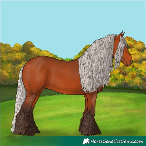 Horse Color:Silver Bay 
