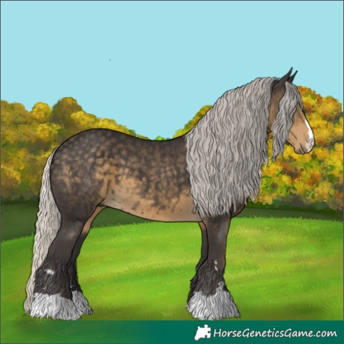 Horse Color:Silver Smoky Black 