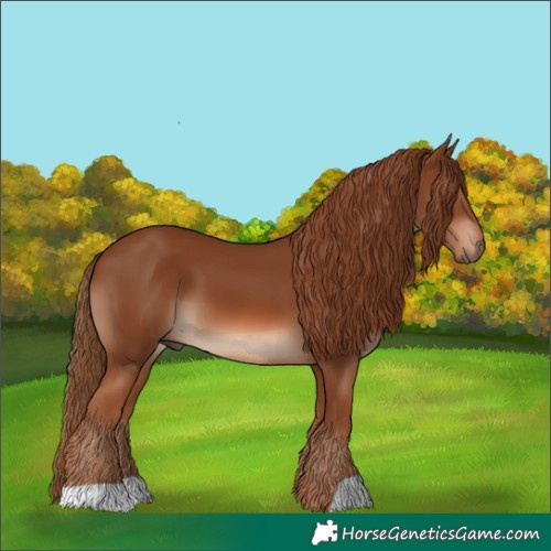 Horse Color:Chestnut 