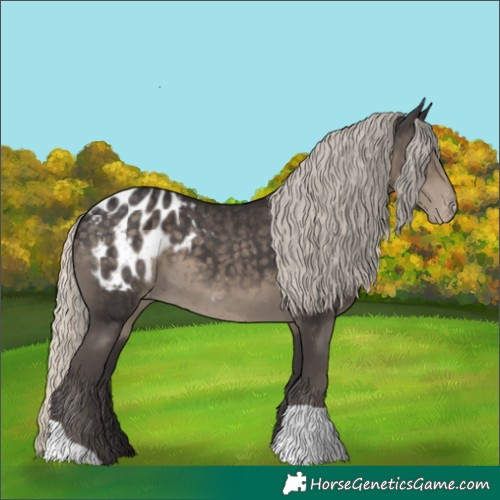 Horse Color:Silver Smoky Black Blanket 