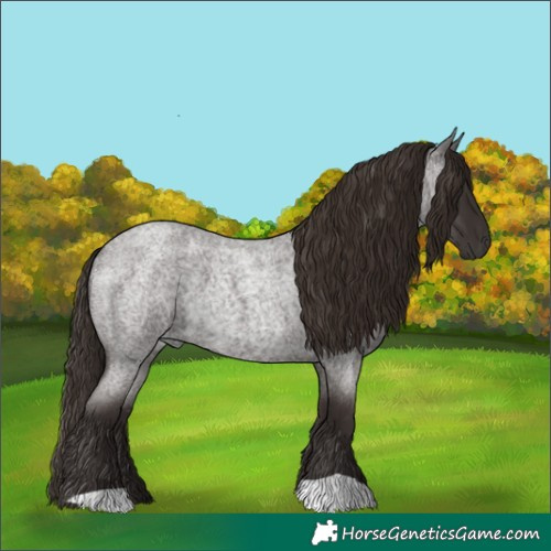 Horse Color:Liver Red Roan 