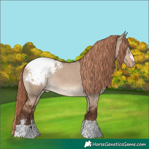 Horse Color:Liver Red Dun Snowcap 