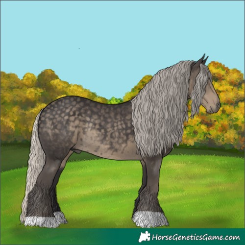 Horse Color:Silver Smoky Black Rabicano