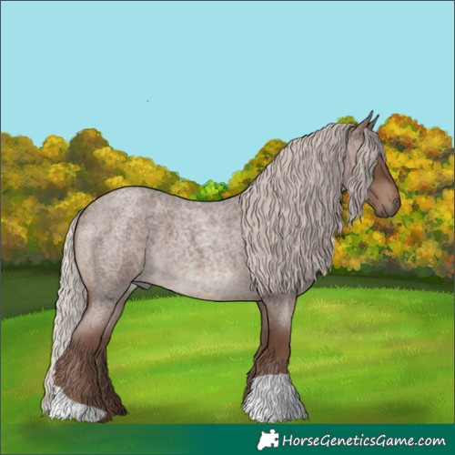 Horse Color:Silver Blue Roan 