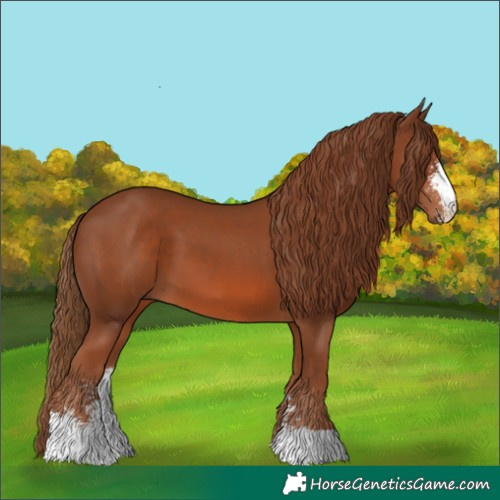 Horse Color:Chestnut Sabino