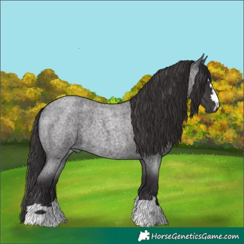 Horse Color:Smoky Blue Roan 