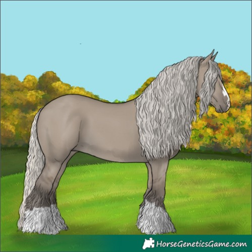 Horse Color:Silver Smoky Grullo