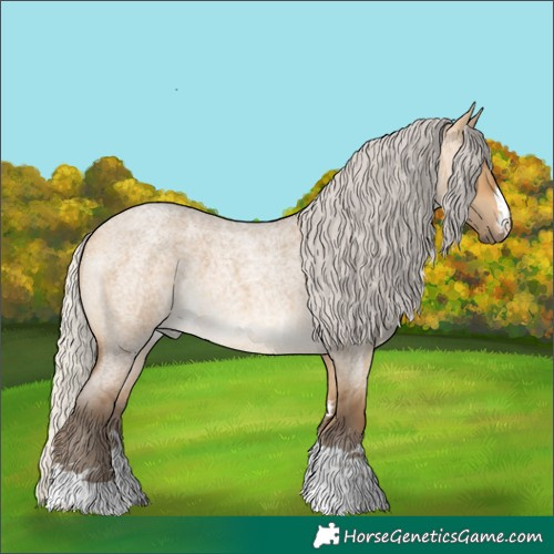 Horse Color:Silver Buckskin Roan Dun 
