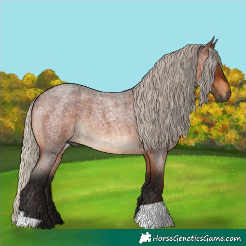 Horse Color:Gray Silver Bay Roan 