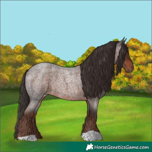 Horse Color:Liver Red Roan 