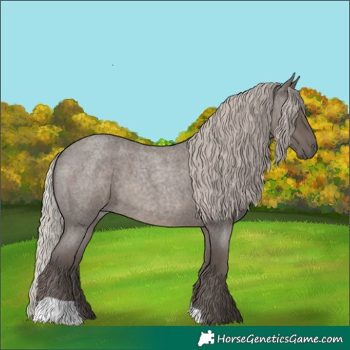 Horse Color:Silver Blue Roan 