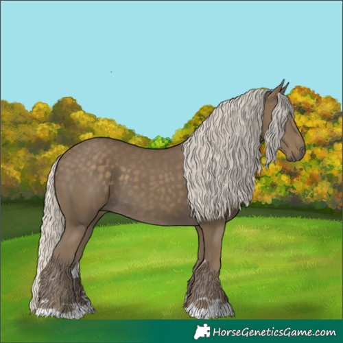 Horse Color:Silver Smoky Black 