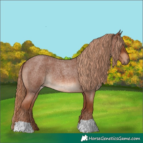 Horse Color:Red Roan 
