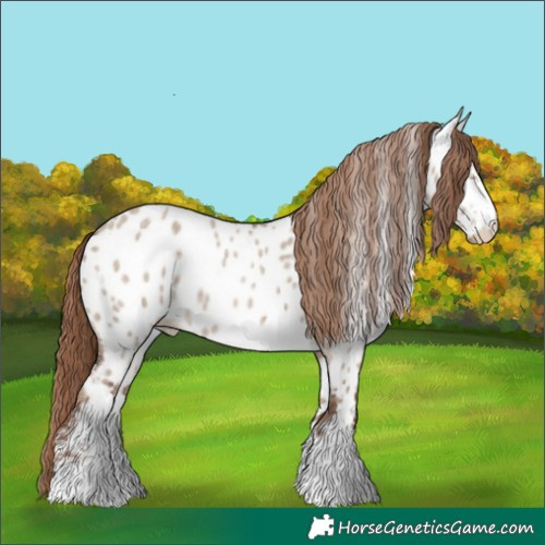 Horse Color:Liver Red Dun Roan Sabino Near Leopard 