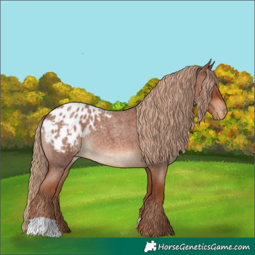 Horse Color:Red Roan Blanket 