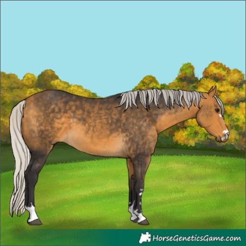 Horse Color:Silver Buckskin 
