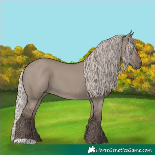 Horse Color:Silver Grullo 