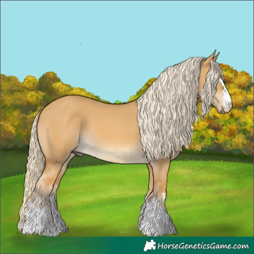 Horse Color:Palomino Dun 