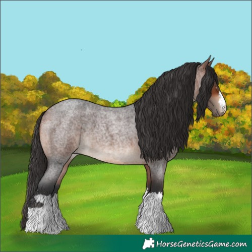 Horse Color:Brown Roan 