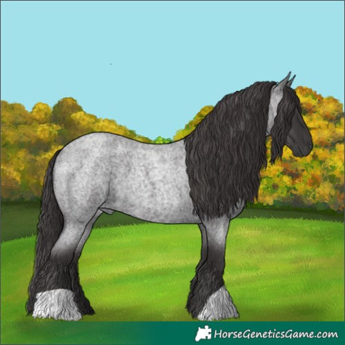 Horse Color:Smoky Blue Roan 