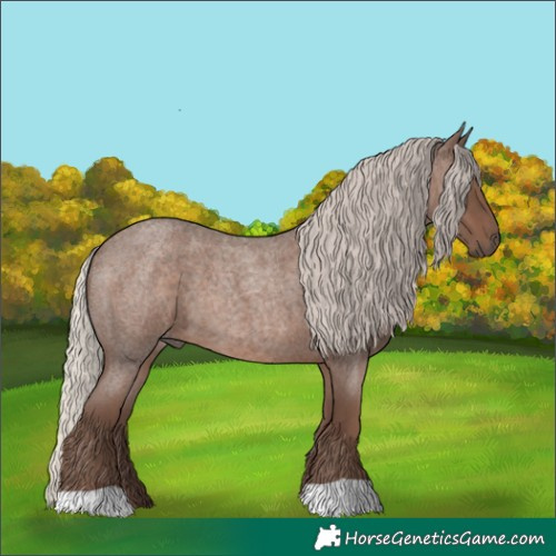 Horse Color:Silver Blue Roan