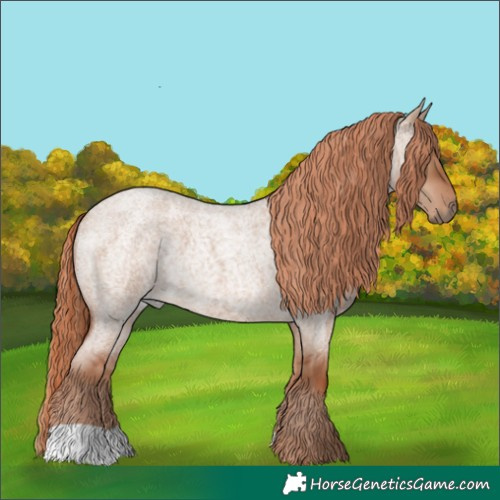Horse Color:Red Dun Roan 