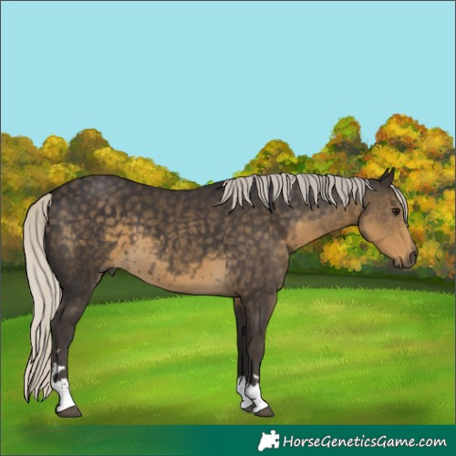 Horse Color:Silver Smoky Black 