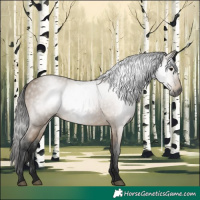 Horse Color:Gray Buckskin