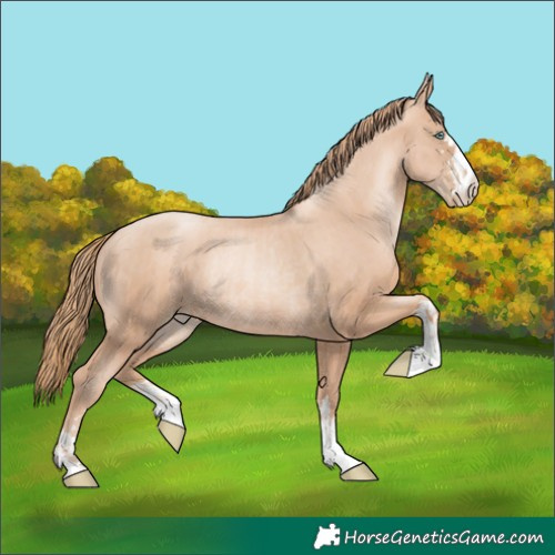 Horse Color:Gold Champagne Pearl Rabicano  and Gold Champagne Pearl Rabicano 