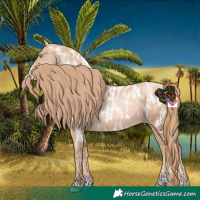 Horse Color:Gold Champagne Pearl Rabicano  and Gold Champagne Pearl Splash Near Leopard Rabicano 
