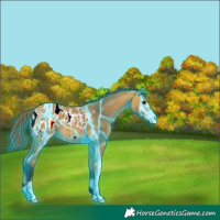 Horse Color:Thunderstruck Buckskin Blanket 
