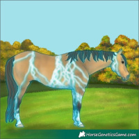 Horse Color:Thunderstruck Buckskin