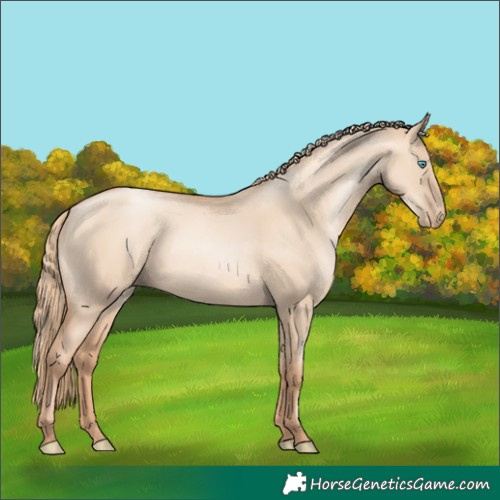 Horse Color:Gold Champagne Pearl Dun Rabicano and Gold Champagne Pearl Dun Rabicano