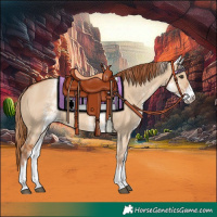 Horse Color:White Spotted Red Dun