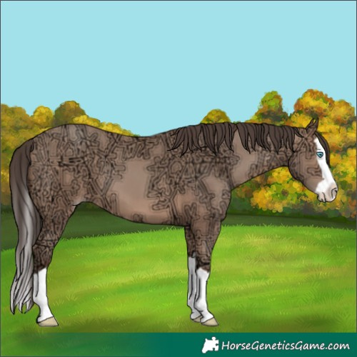 Horse Color:Amber Champagne Ice Splash 