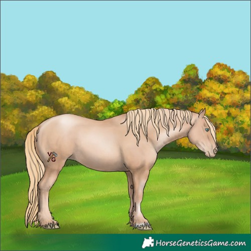 Horse Color:Gold Champagne Pearl Rabicano and Gold Champagne Pearl Rabicano