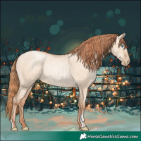 Horse Color:Gold Champagne Pearl Dun Rabicano  and Amber Champagne Pearl Dun Rabicano 