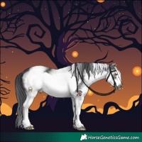 Horse Color:White Spotted Black Frame 