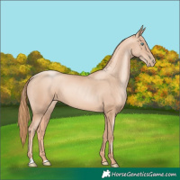 Horse Color:Gold Champagne Pearl Rabicano  and Gold Champagne Pearl Rabicano 