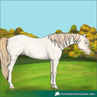 Horse Color:Buckskin Roan Pearl and Buckskin Roan Pearl