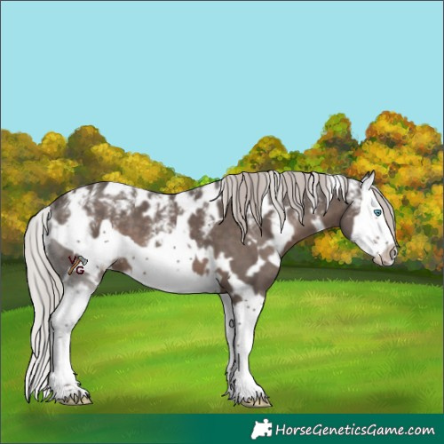 Horse Color:Powder White White Spotted Silver Black Splash Frame 