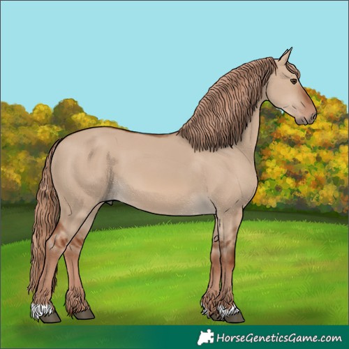 Horse Color:Red Dun 