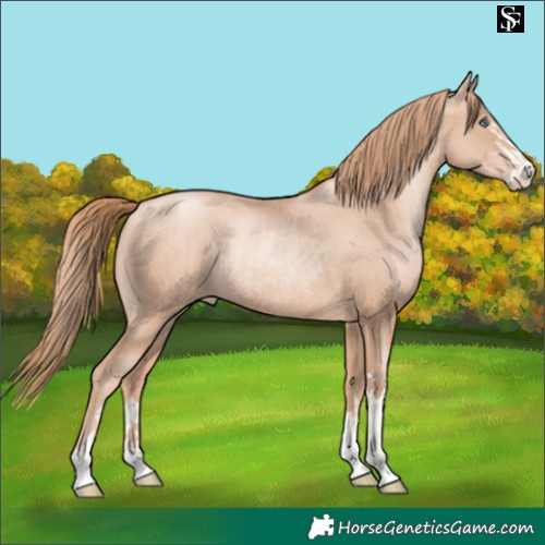 Horse Color:Gold Champagne Pearl Rabicano  and Gold Champagne Pearl Rabicano 